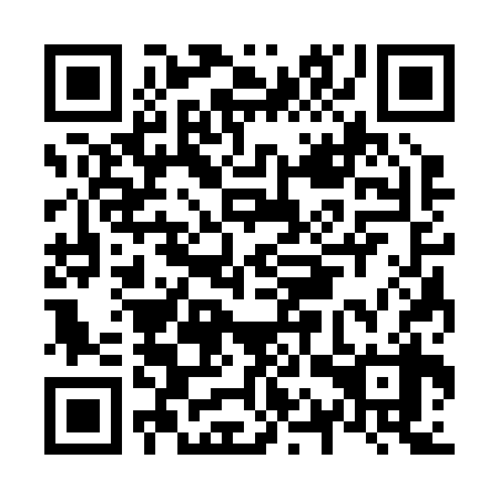 QR code for plate N1S 238
