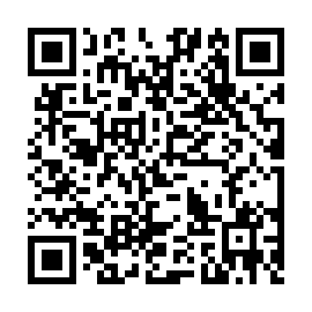 QR code for N1S401