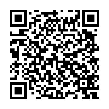 QR code for plate N1S 419