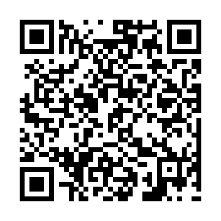 QR code for N1S770