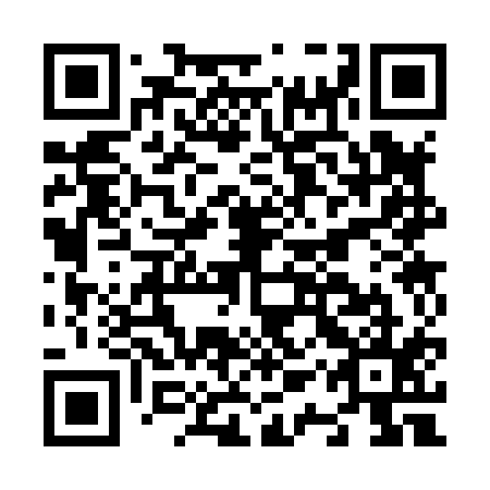 QR code for N1S815
