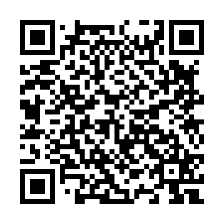 QR code for plate N1S 825