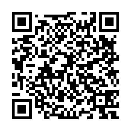 QR code for plate N1S 838