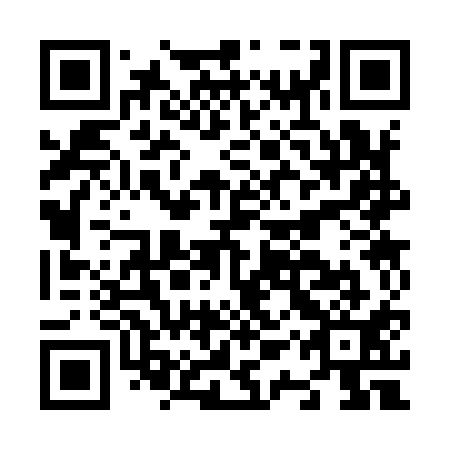 QR code for N1S911