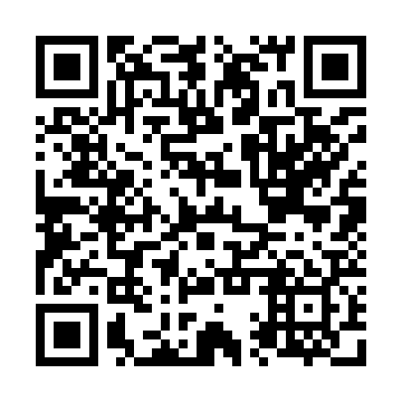 QR code for N1S929