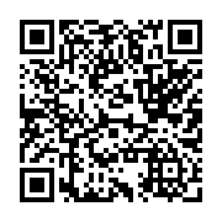 QR code for N1T 295
