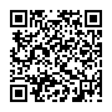 QR code for N1T 374