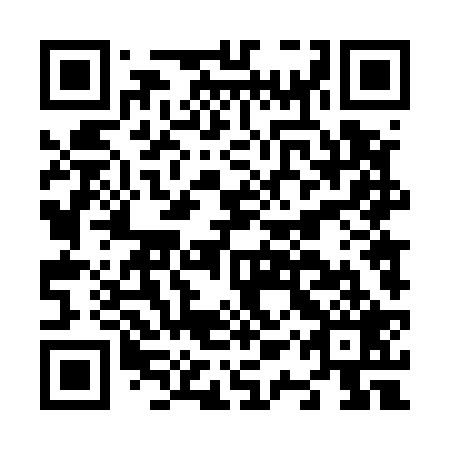 QR code for N1T 529