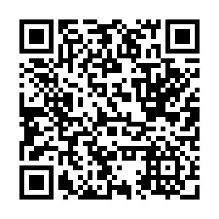 QR code for N1T 717