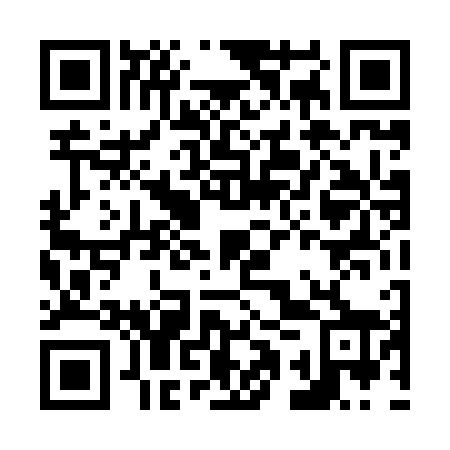 QR code for N1T 868