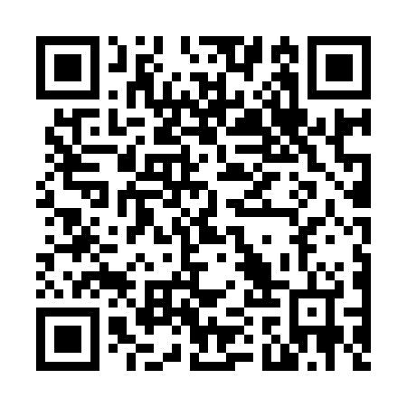 QR code for N1T 924