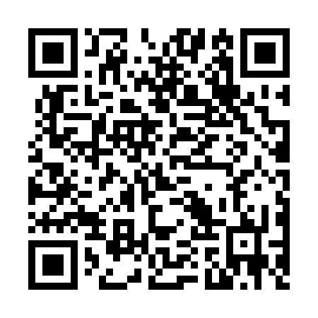 QR code for plate N1T 232