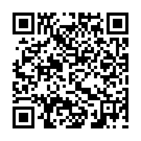 QR code for N1T325