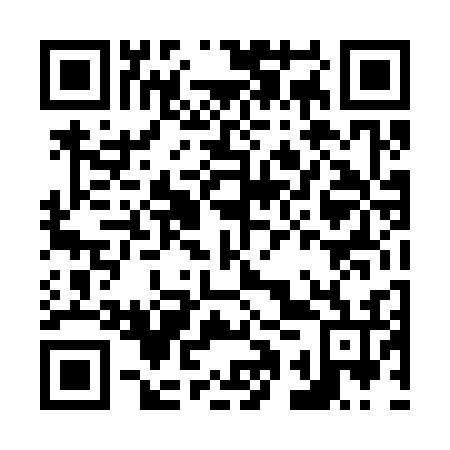 QR code for N1T336