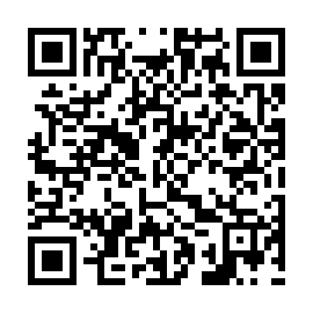 QR code for plate N1T 367