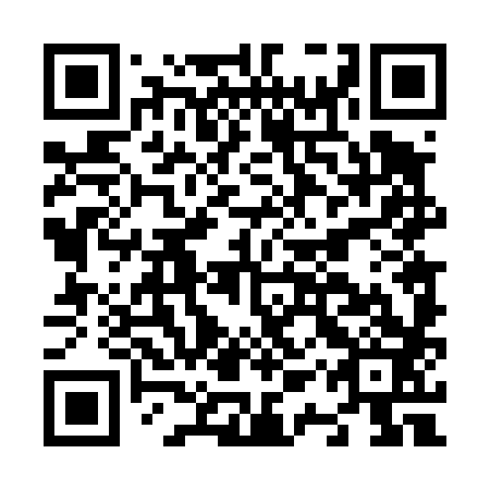 QR code for plate N1T 483