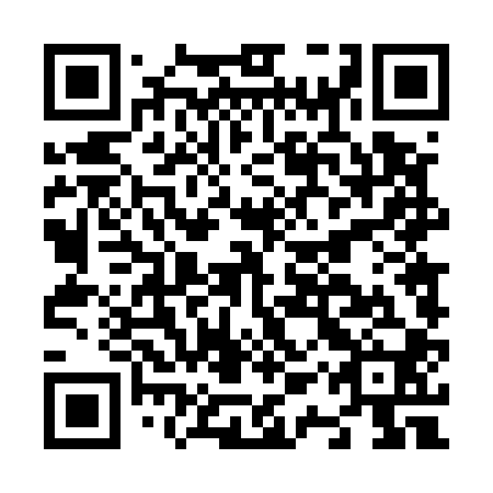 QR code for plate N1T 500
