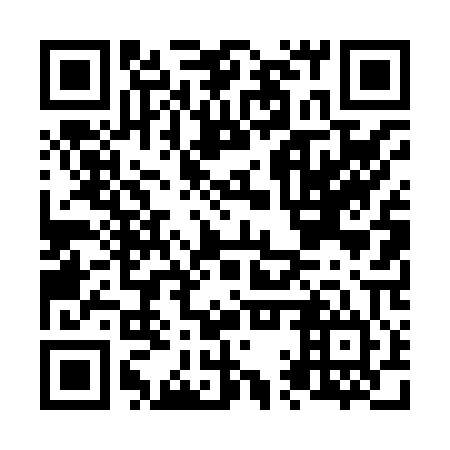 QR code for plate N1T 804