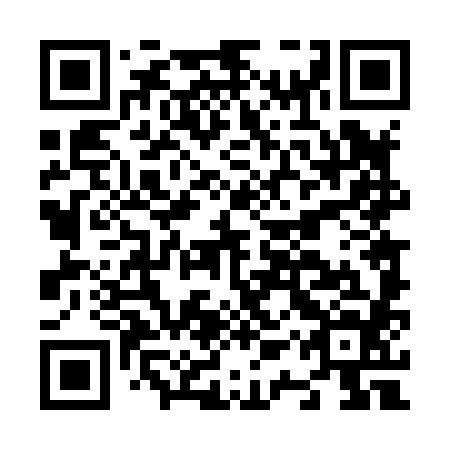 QR code for plate N1T 884