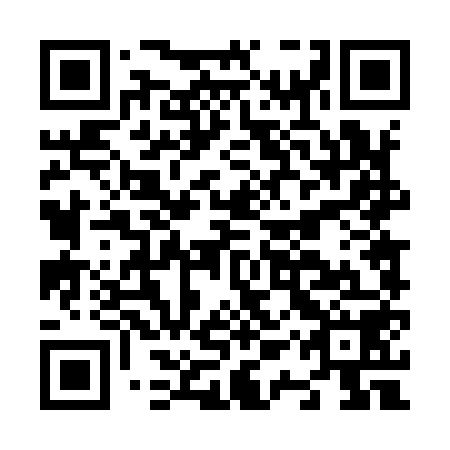 QR code for plate N1T 958