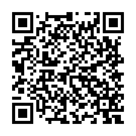 QR code for N1U 955