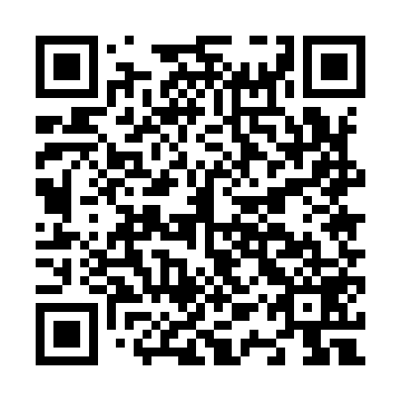 QR code for N1U 959