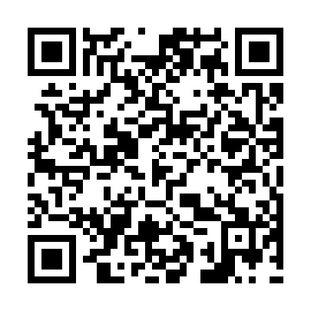 QR code for plate N1U 301