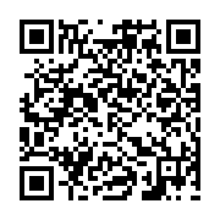 QR code for N1U394