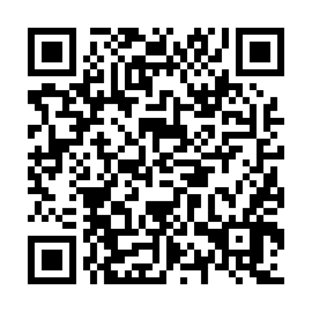 QR code for N1V 046