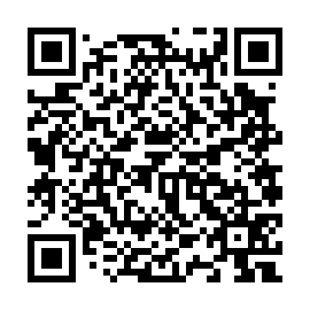 QR code for N1V 075