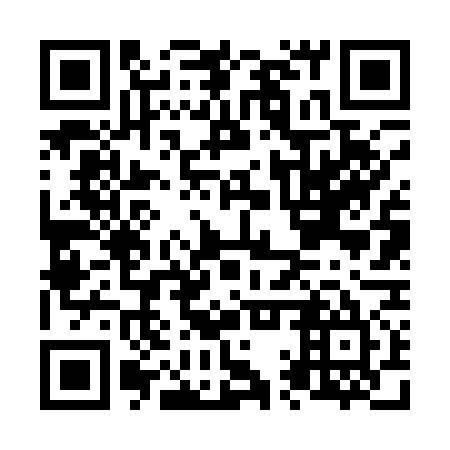 QR code for N1V 175