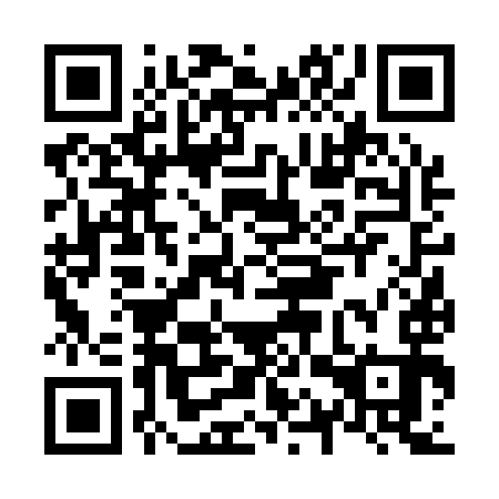 QR code for N1V 193