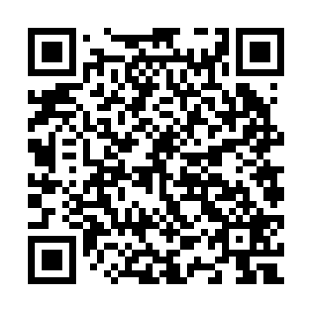 QR code for N1V 229