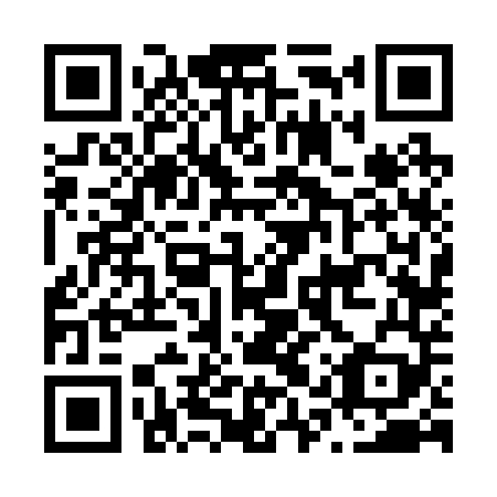 QR code for N1V 249