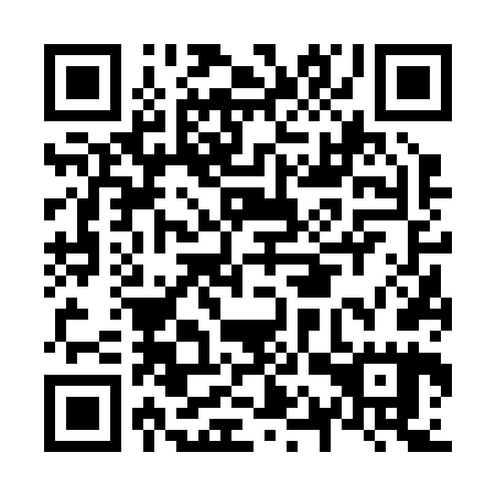 QR code for N1V 265