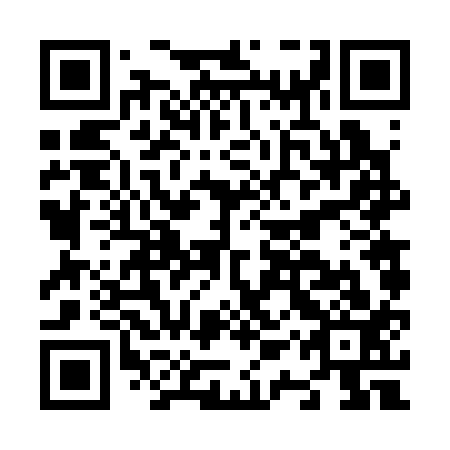 QR code for N1V 313
