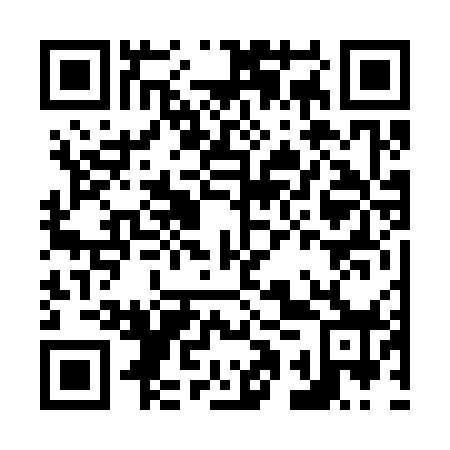 QR code for N1V 378