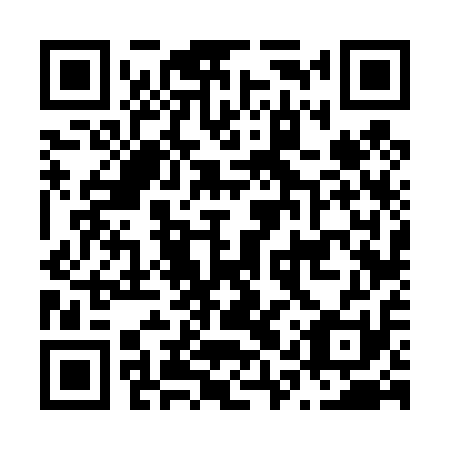 QR code for N1V 411