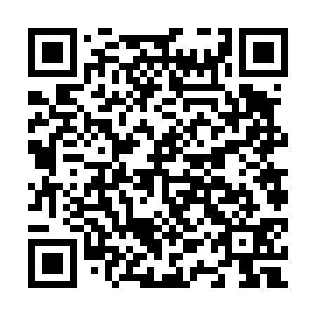 QR code for N1V 431