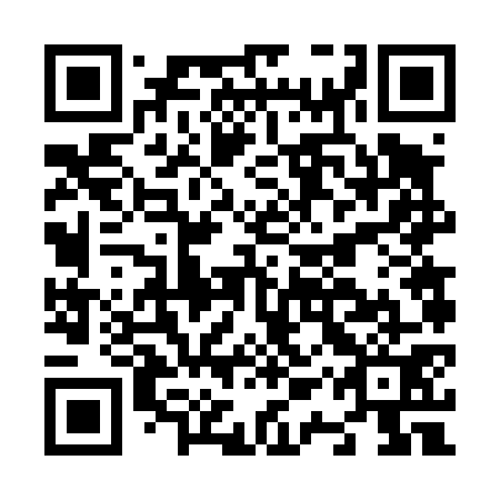 QR code for N1V 471