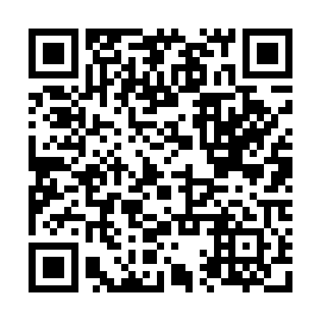 QR code for N1V 501