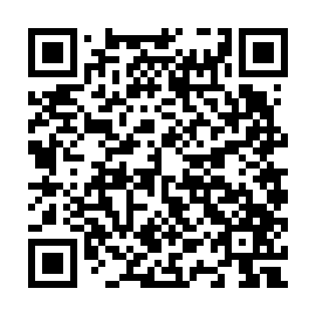 QR code for N1V 647