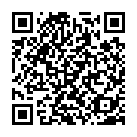 QR code for N1V 739