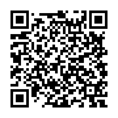 QR code for N1V 810