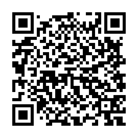 QR code for N1V 870