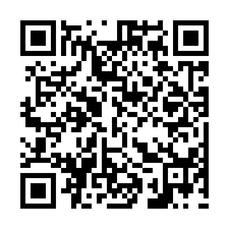 QR code for N1V 918