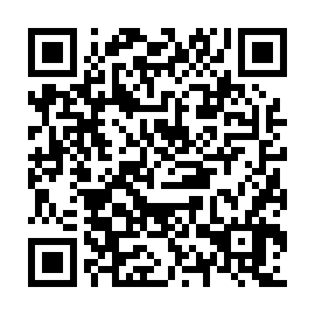 QR code for plate N1V 066