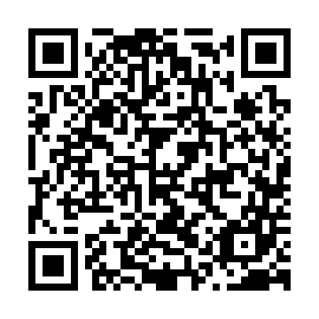 QR code for N1V347