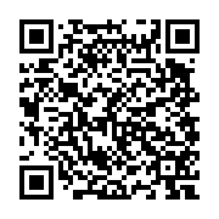 QR code for plate N1V 454