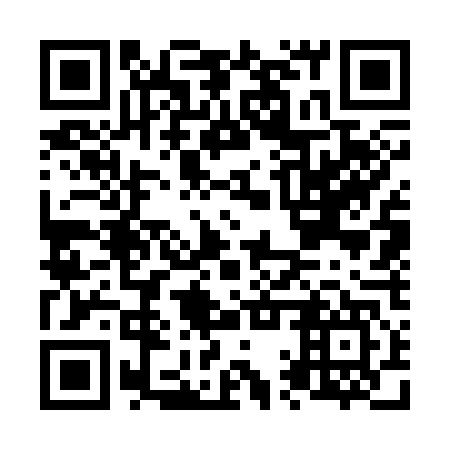 QR code for N1W 347
